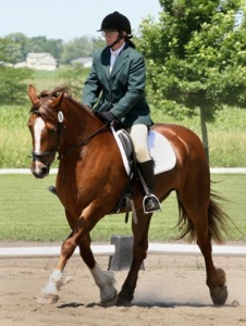 Equipix